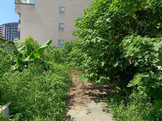 中壢青埔高鐵店面建地