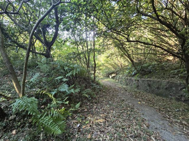 芎林林地-15