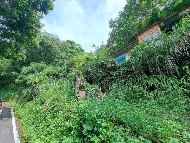 芎林林地-3