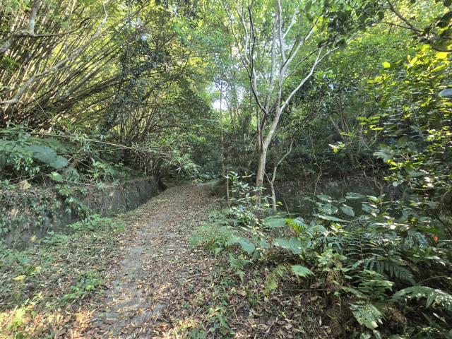 芎林林地-8