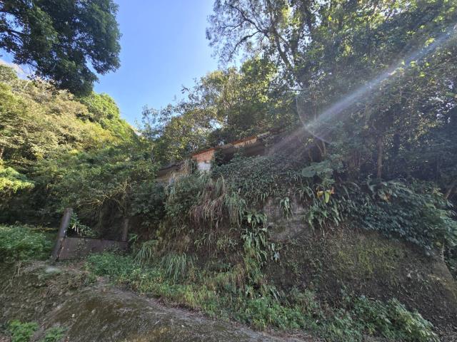 芎林林地-9