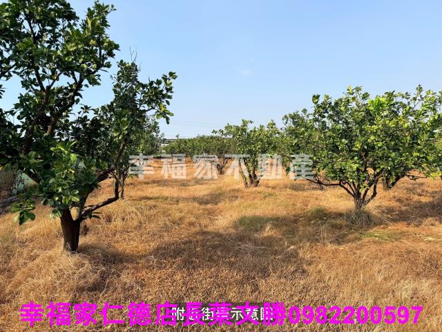 下營農地-14