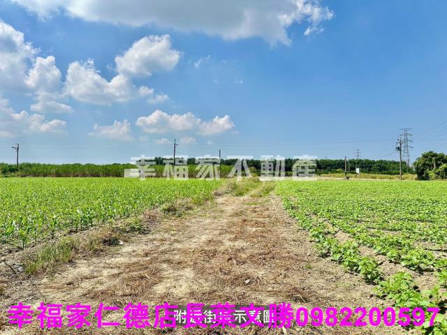 善化農地-14