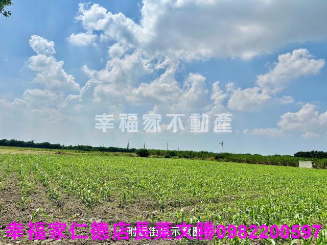 善化農地-6