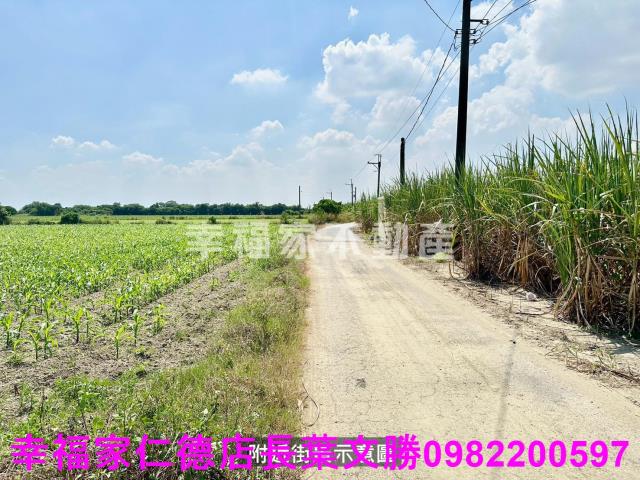 善化農地-9