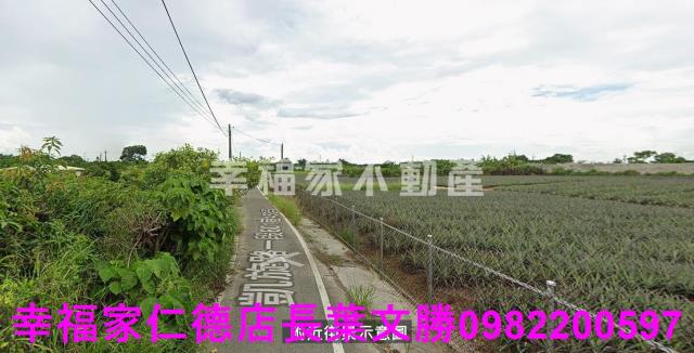 歸仁農地-8