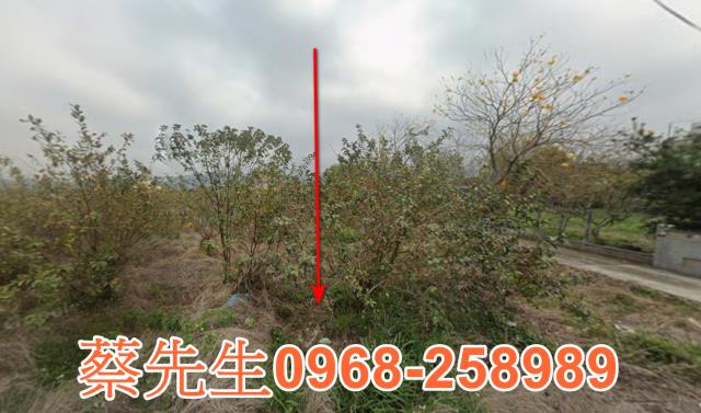 公館玉泉村都計內農地都內農地好規劃用途多