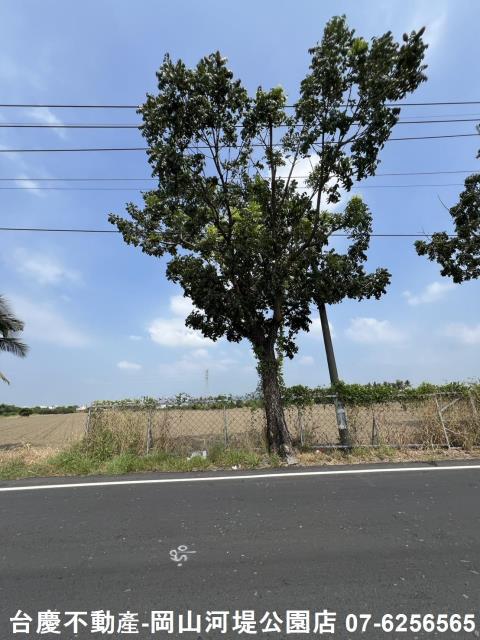 高雄農地-14
