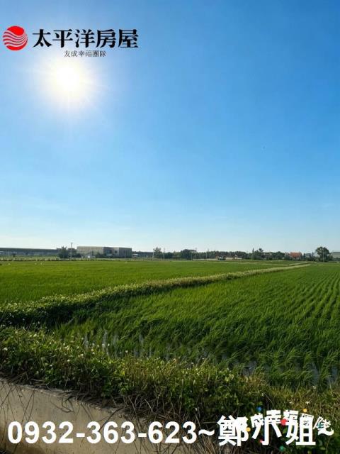 桃園農地-3
