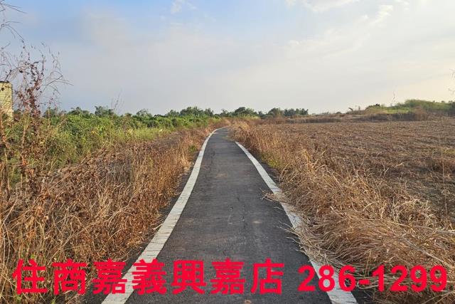 嘉義農地-6