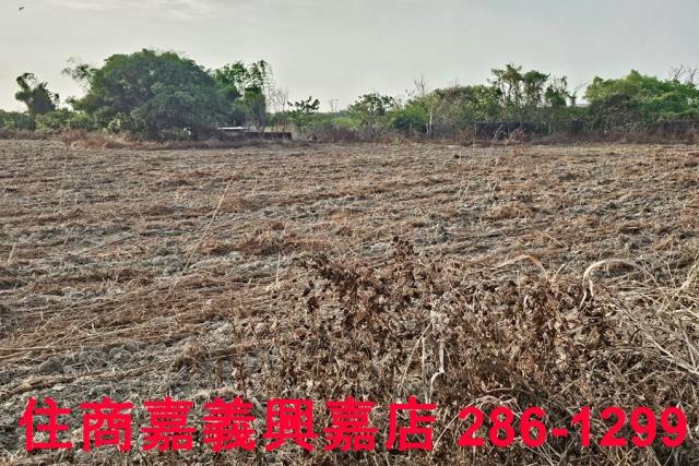 嘉義農地-8