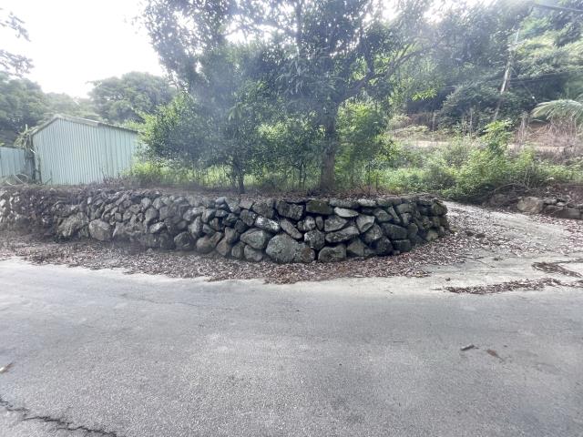 南投國姓農地_建地-1