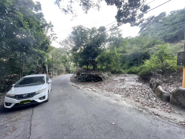 南投國姓農地_建地-2
