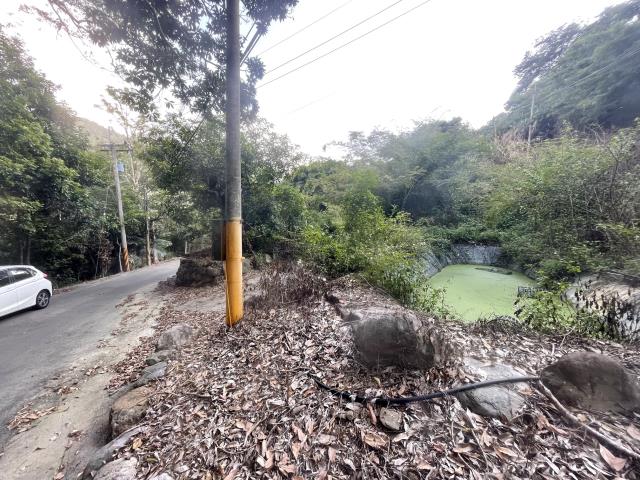 南投國姓農地_建地-3