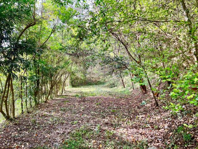 南投埔里農地_建地-12