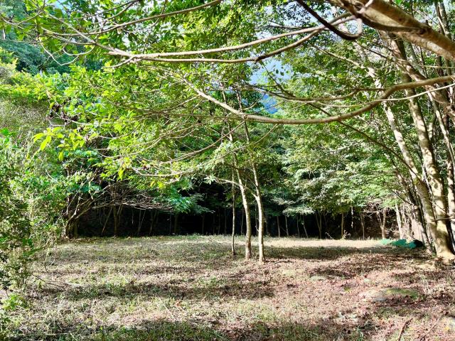 南投埔里農地_建地-14