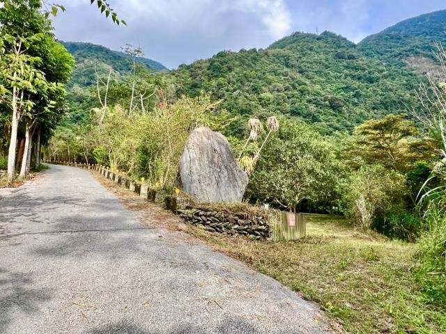 南投埔里農地_建地-1