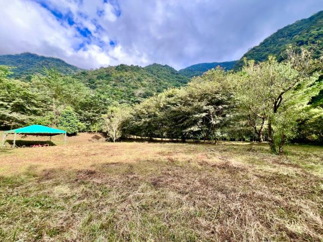 南投埔里農地_建地-4