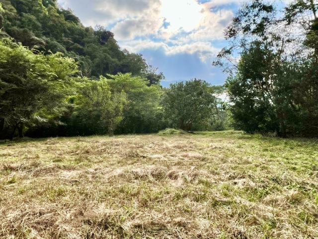 南投埔里農地_建地-6