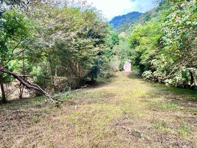 南投埔里農地_建地-7