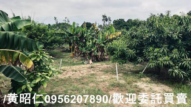 台南歸仁農地-15