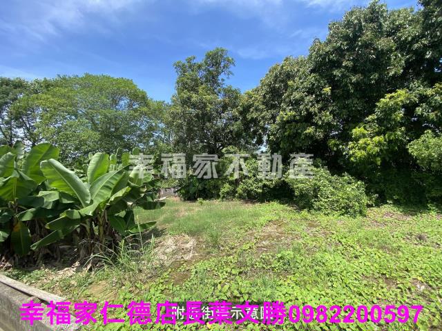 台南歸仁農地-14