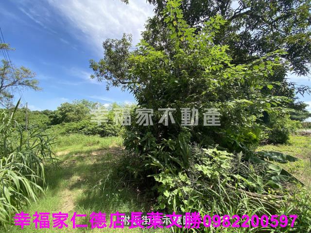 台南歸仁農地-6