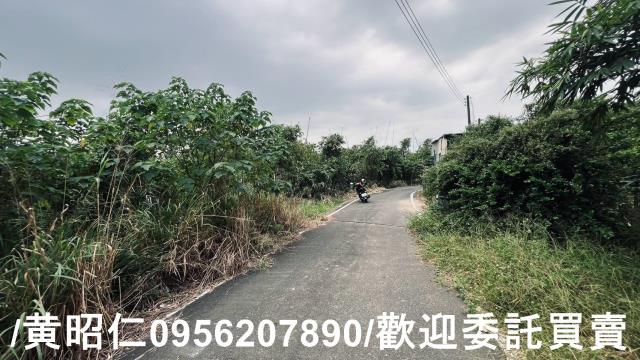 台南歸仁農地-5