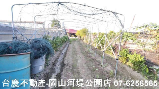 高雄梓官農地-2