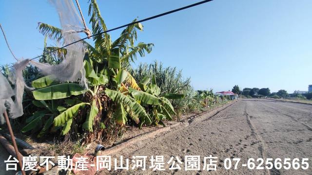 高雄梓官農地-3
