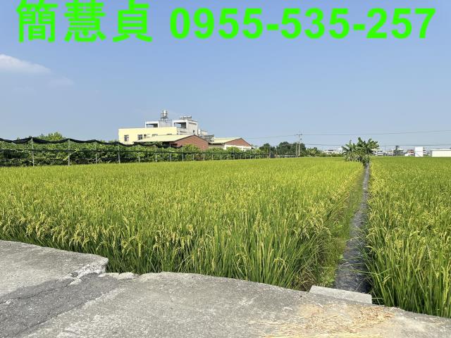 草屯農地-1