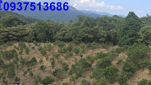 礁溪農地_山坡地-13