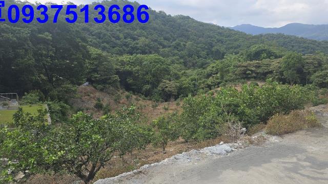 礁溪農地_山坡地-14