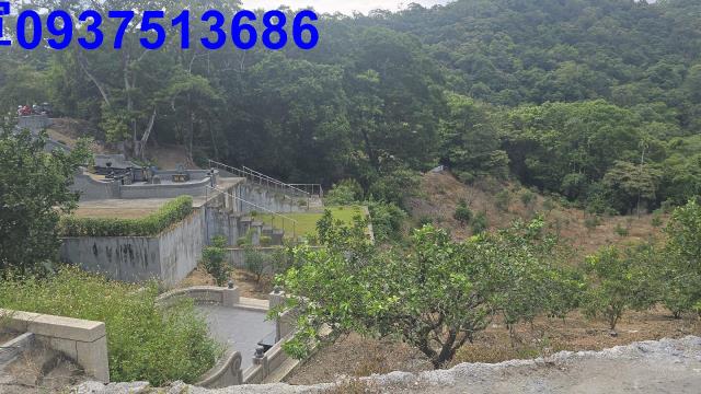 礁溪農地_山坡地-15