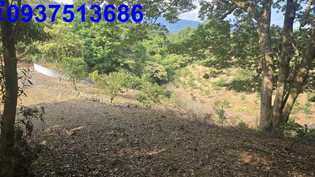 礁溪農地_山坡地-2