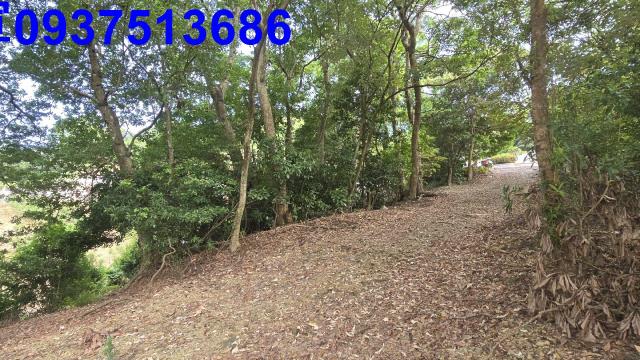 礁溪農地_山坡地-9