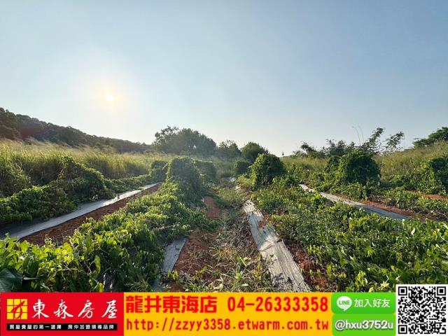 台中農地-5