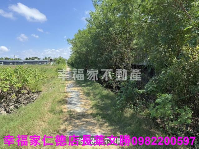 鹽水農地-5