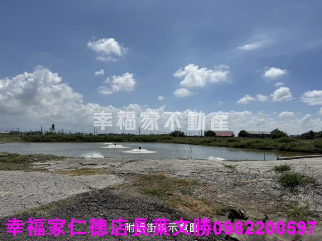 鹽水農地-15
