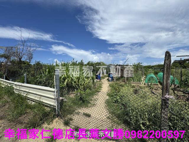 安南農地-1