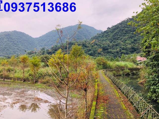 員山農地-5
