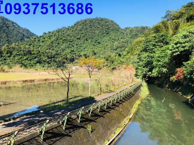 員山農地-8
