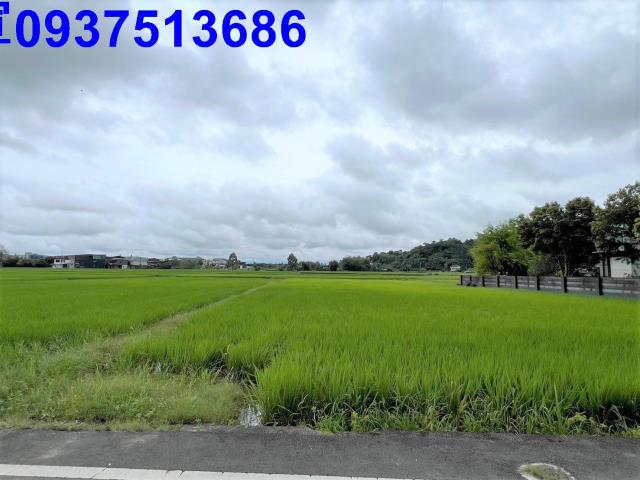 員山農地-3