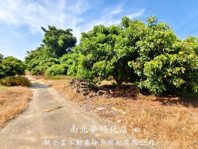 台南農地-3