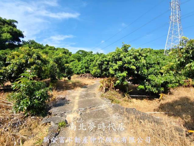 台南農地-6