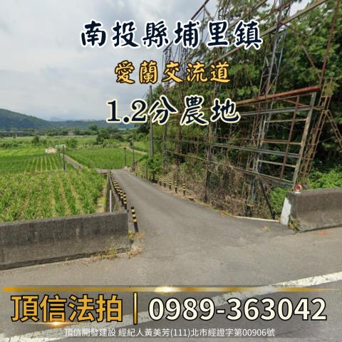南投法拍農地-1