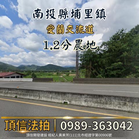 南投法拍農地-2