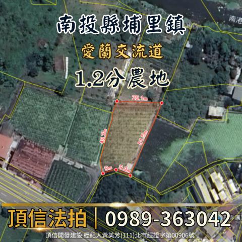 南投法拍農地-3
