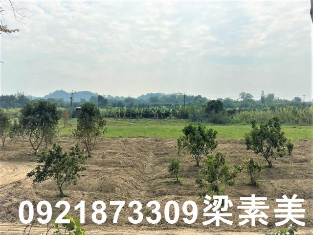 台南農地-4