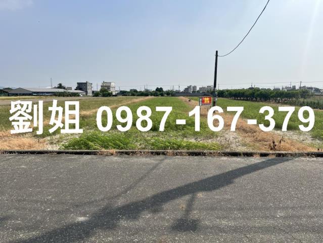 高雄路竹農地-1